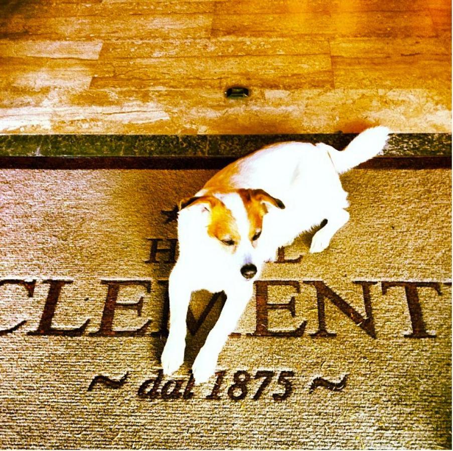 Hotel Clementi Salice Terme Kültér fotó